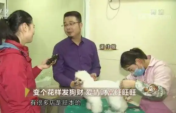 如今作啥生意致富_谢作缎致富经_当今作哪个生意致富