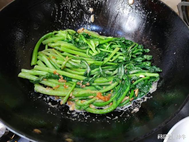 芹菜种植春天技术要点_春天芹菜种植技术_芹菜种植春天技术与管理
