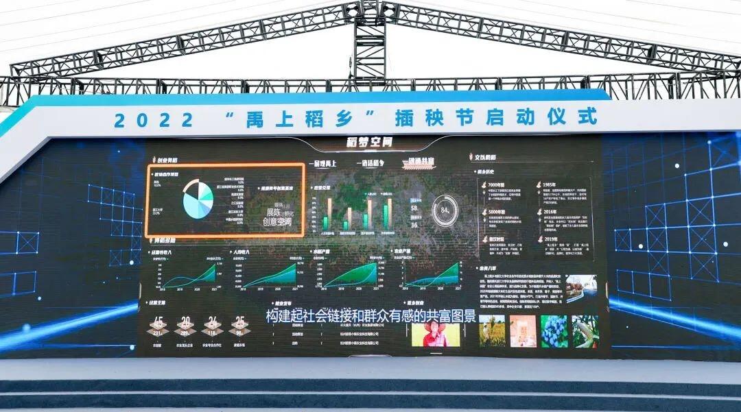 杭州种植技术_杭州种植致富项目_杭州种植什么
