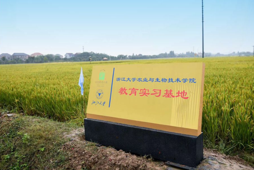 杭州种植技术_杭州种植致富项目_杭州种植什么