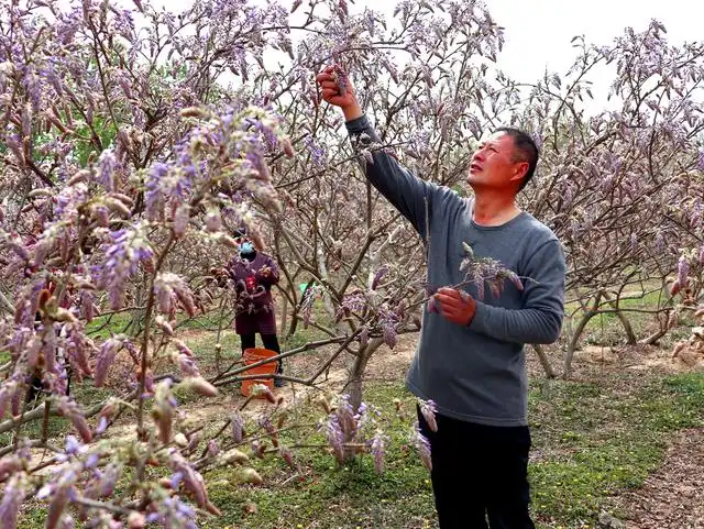 文章图片1