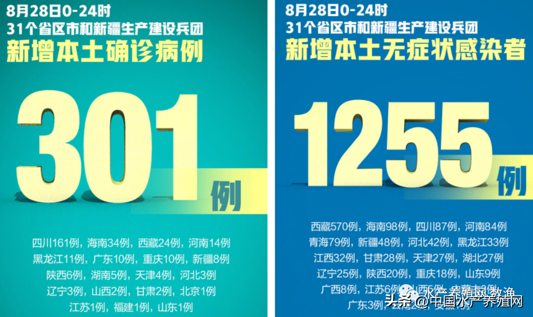 四川疫情！鳜鱼鲈鱼鮰鱼跌价，黑鱼暴涨黄骨涨价，中秋前能稳住？