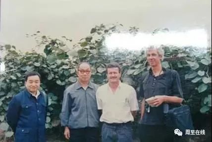 致富种植视频全集_周至种植致富_周至县种植结构