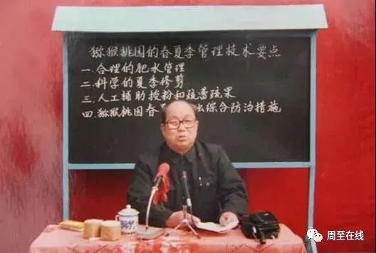 周至县种植结构_致富种植视频全集_周至种植致富
