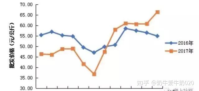 龙虾养殖鱼塘技术视频_龙虾养殖塘图片_龙虾鱼塘养殖技术