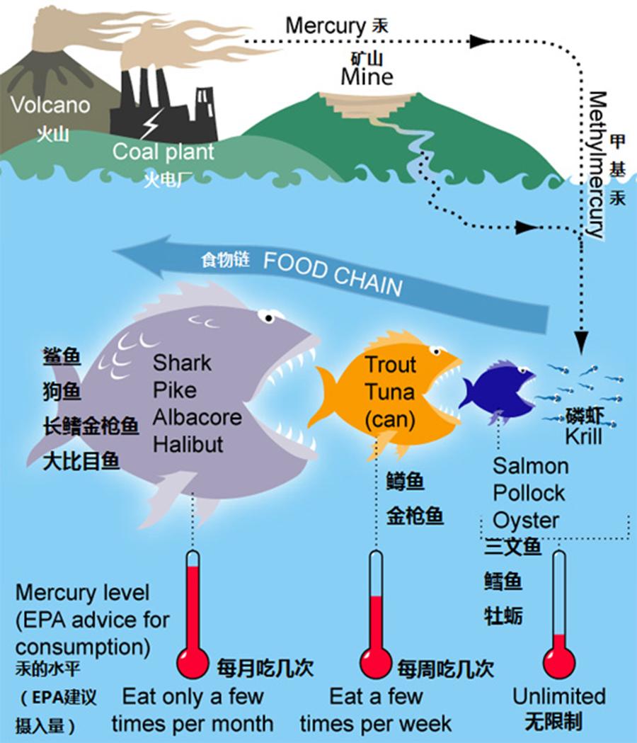 循环水养鱼成本和利润_鲫鱼循环水养殖技术_循环水养殖鱼池