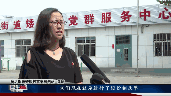致富养殖斑鸠视频_养殖斑鸠利润空间多大_致富养殖斑鸠