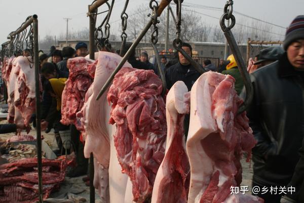 养猪“暴利”消退，屠企压榨手段太狠，为何要帮利益集团代言？
