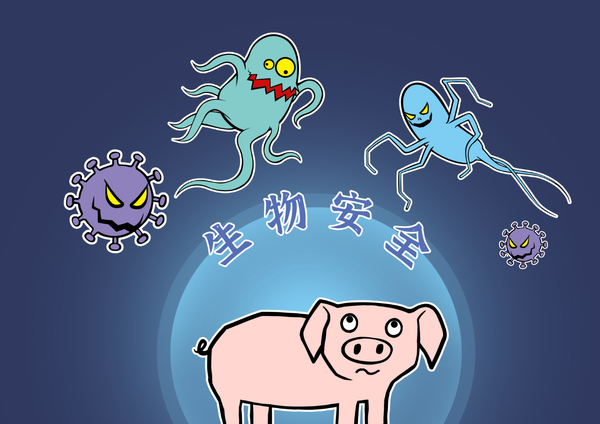 致富经2020年养猪视频大全_致富经邵康为养猪_致富经养猪大户