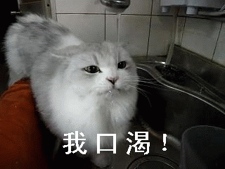 如何种植水瓜_水瓜种植写技术_水瓜栽培技术要点