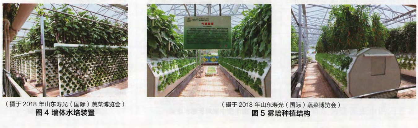 丝瓜无土种植技术_种植丝瓜土壤_丝瓜无土栽培技术