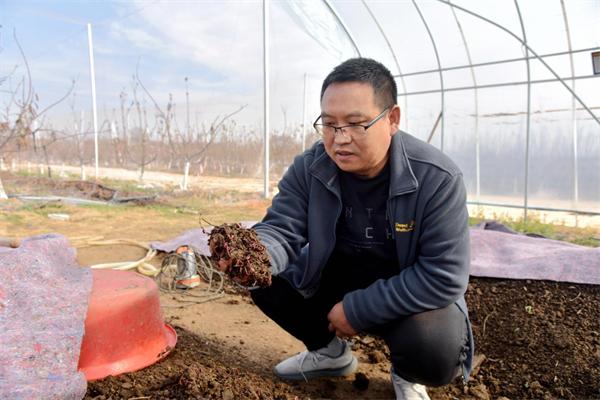 药用蚯蚓的养殖技术_养殖蚯蚓药用技术视频_蚯蚓养殖药品