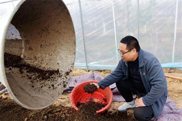 养殖蚯蚓药用技术视频_蚯蚓养殖药品_药用蚯蚓的养殖技术