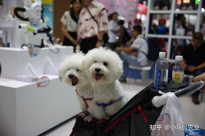 养殖视频致富经_国外养殖致富视频_养殖致富网视频