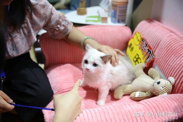 国外养殖致富视频_养殖致富网视频_养殖视频致富经