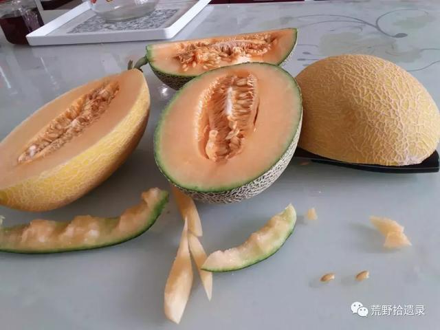 东瓜的种植技术_东瓜育种方法_东瓜栽培技术