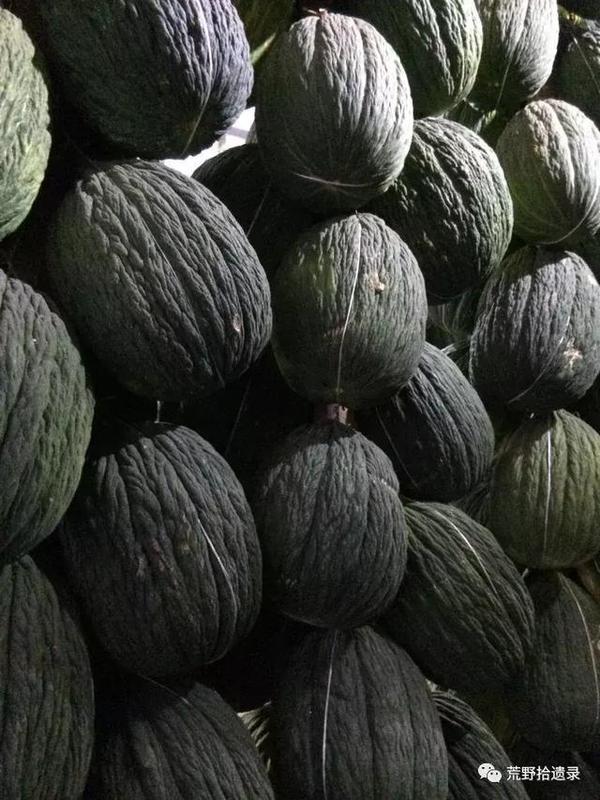东瓜育种方法_东瓜栽培技术_东瓜的种植技术