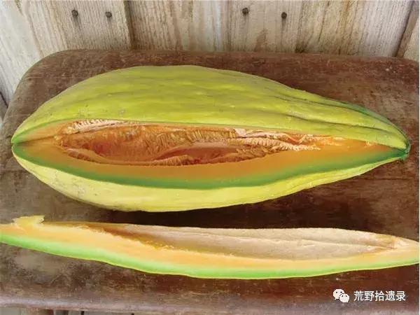 东瓜育种方法_东瓜的种植技术_东瓜栽培技术