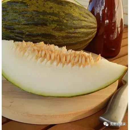 东瓜栽培技术_东瓜的种植技术_东瓜育种方法