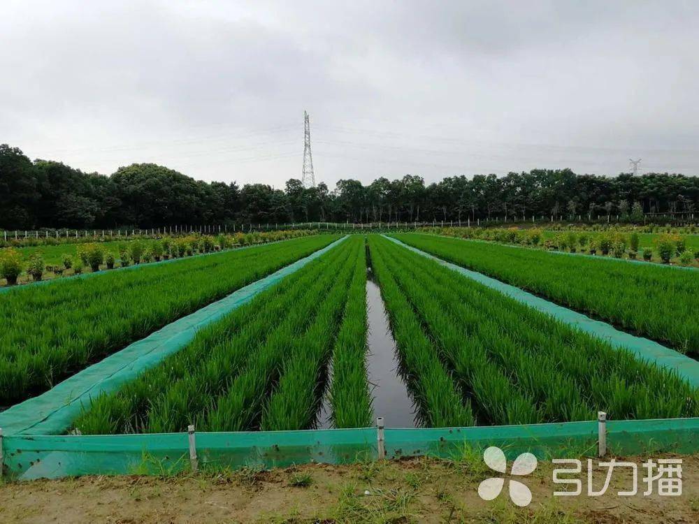 致富养殖业_国外养殖致富视频_致富创业网养殖视频