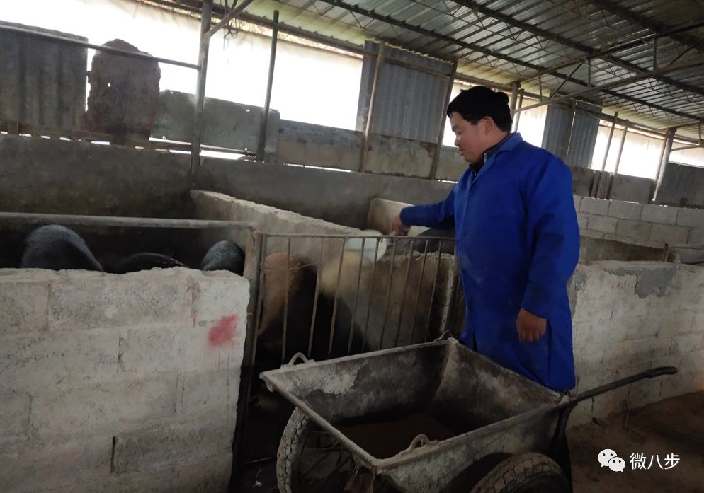 养殖致富经_致富养殖什么最赚钱_轻松养殖致富书籍