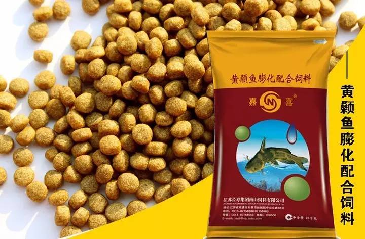 致富经黄颡鱼养殖技术_黄颡鱼一道菜致富经_致富经黄颡鱼