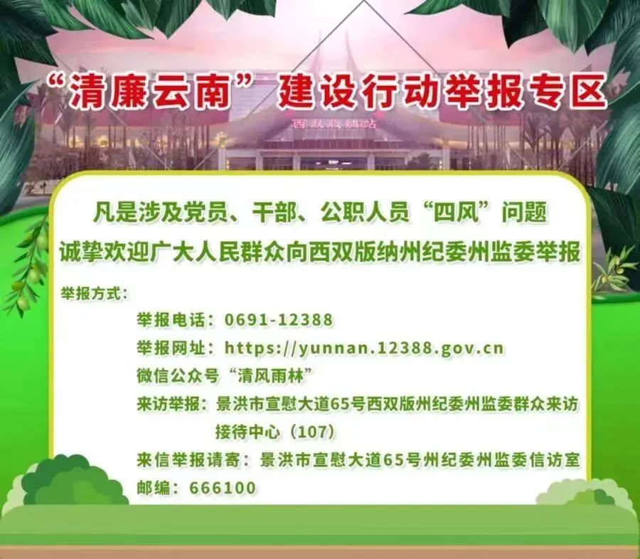 橡胶种植致富项目_橡胶致富种植项目有哪些_橡胶种植收益