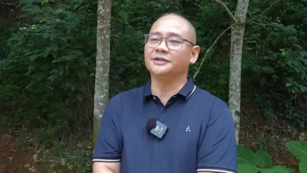 橡胶种植致富项目_橡胶致富种植项目有哪些_橡胶种植收益