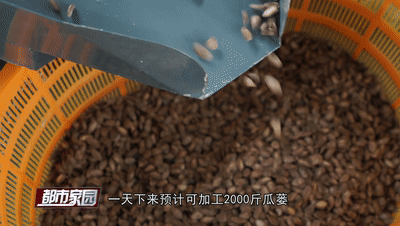 种瓜子挣钱吗_瓜子种植致富_瓜子种植技术