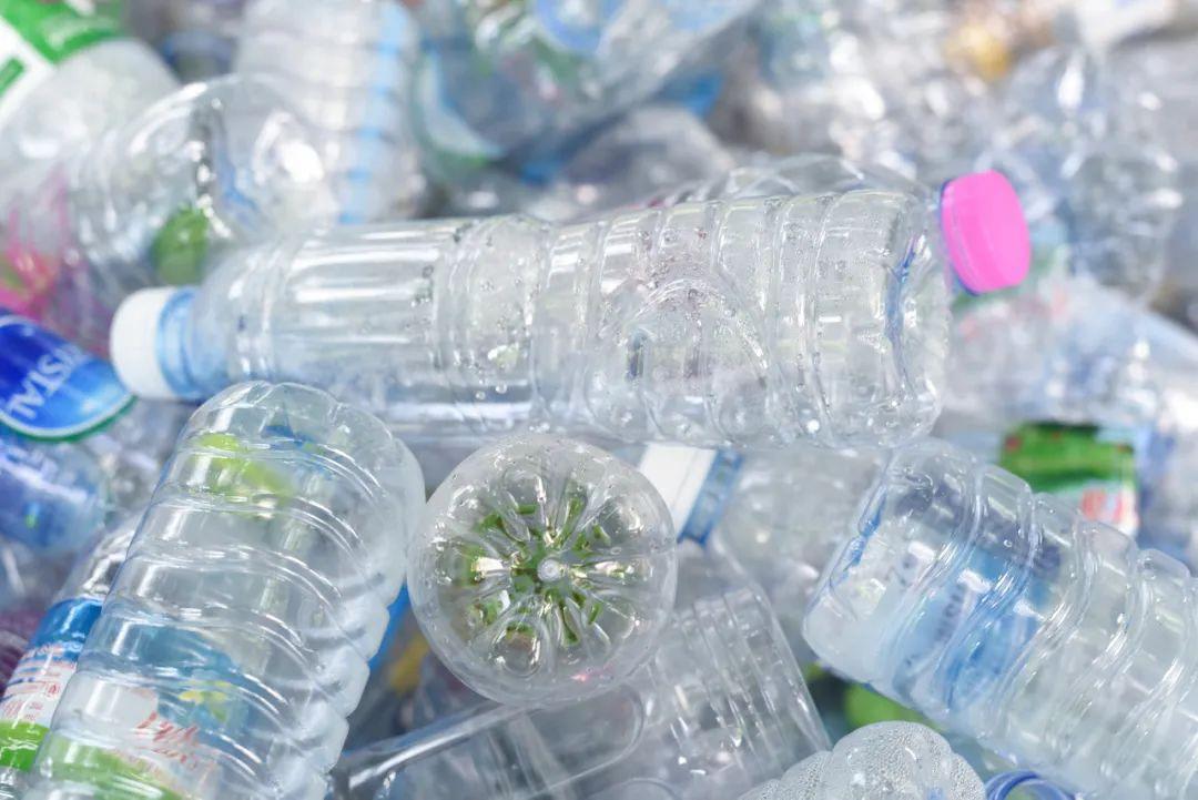 黄粉虫养殖技术视频教程_黄粉虫养殖技术视频教程_黄粉虫养殖技术视频教程