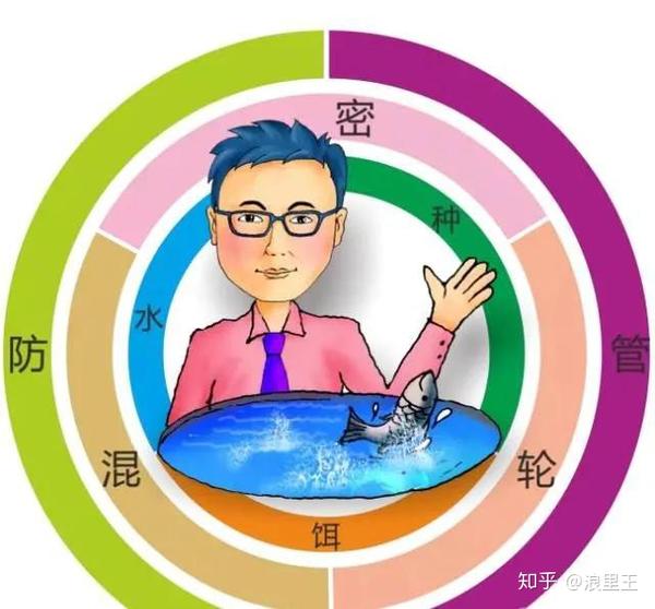 泉水鱼养殖技术_泉水鱼养殖技术方案_泉水鱼养殖视频