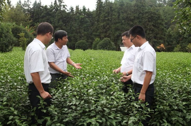 银行支持种植致富_致富种植什么比较赚大钱_种植致富业