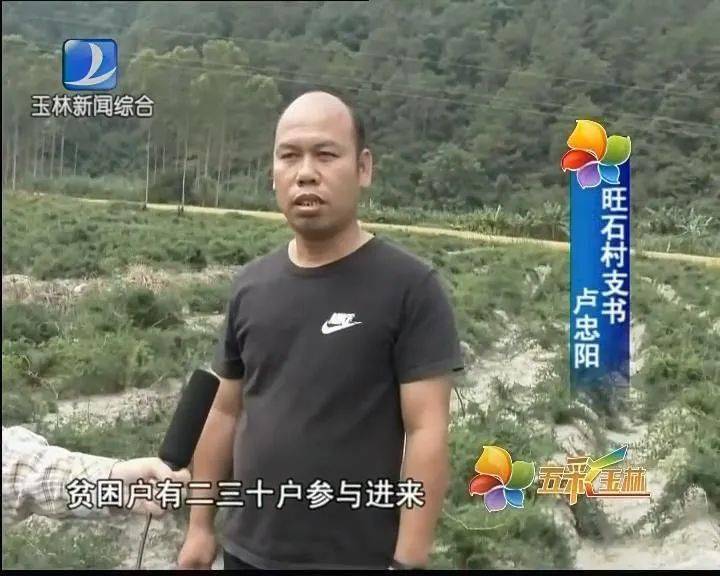 天冬种植致富故_天冬种植效益_种植天冬市场前景怎样