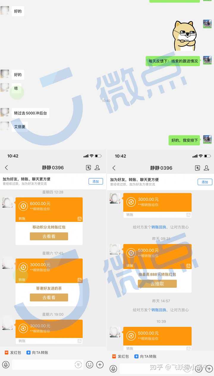 致富蜗牛养殖小鸡视频_蜗牛养殖赚钱吗_小蜗牛养殖致富
