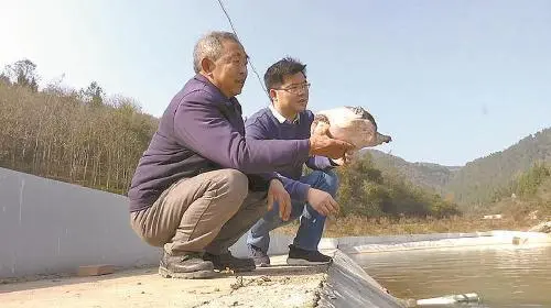秸秆加工项目能赚钱吗_农村秸秆加工_致富经秸秆加工视频