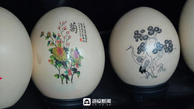 致富经鸵鸟老_致富鸵鸟红包版安卓_致富经鸵鸟养殖场的视频