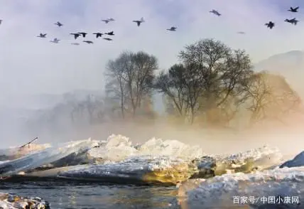 秸秆加工项目能赚钱吗_致富经秸秆加工视频_秸秆加工前景