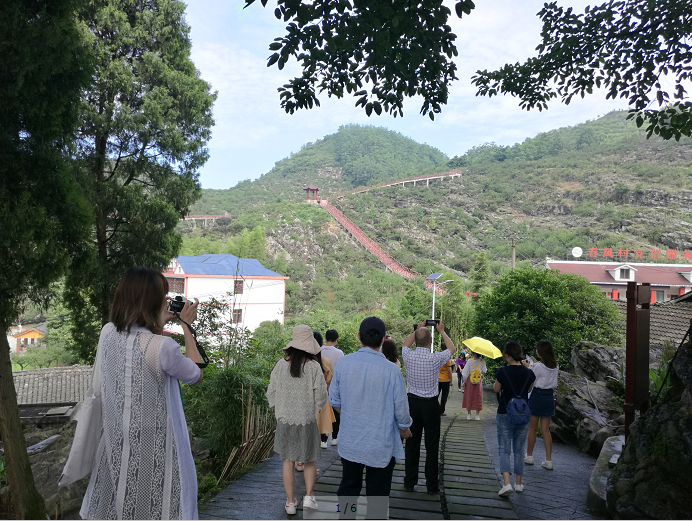 农村种植致富好项目_地黄种植致富_石头种植致富花图片视频