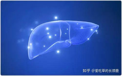 螺蛳如何养殖视频_螺蛳人工养殖技术视频_鲜活花螺养殖技术视频