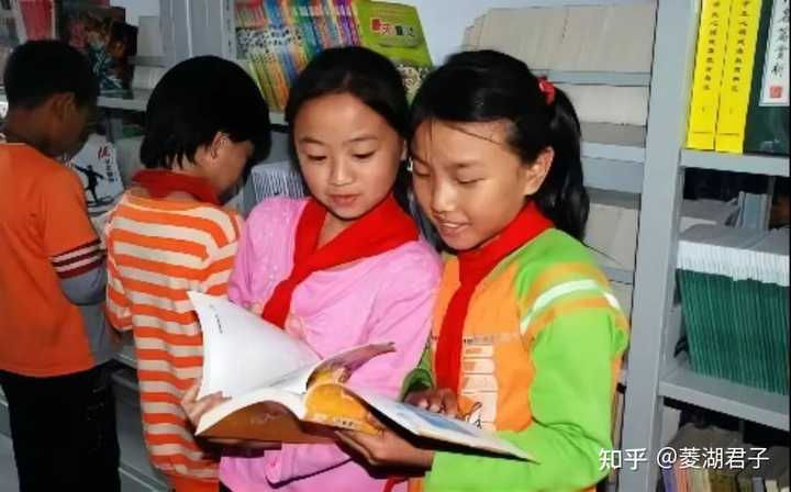 致富养殖平菇图片_养殖平菇赚钱吗_平菇养殖致富