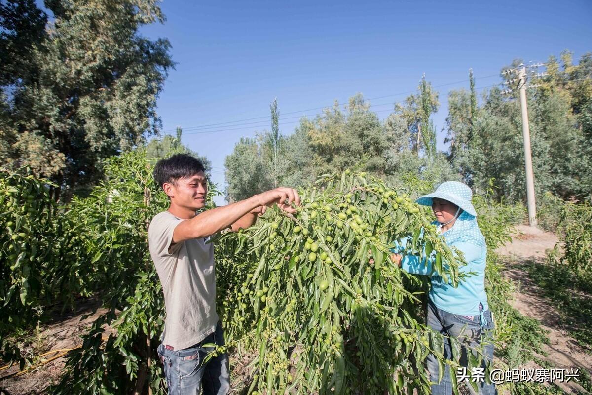 致富栏目是多少台多少时间播出_致富栏目在哪个电视台_致富经栏目