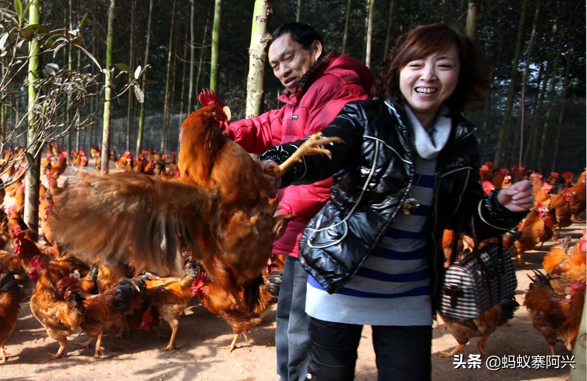 致富经栏目_致富栏目在哪个电视台_致富栏目是多少台多少时间播出