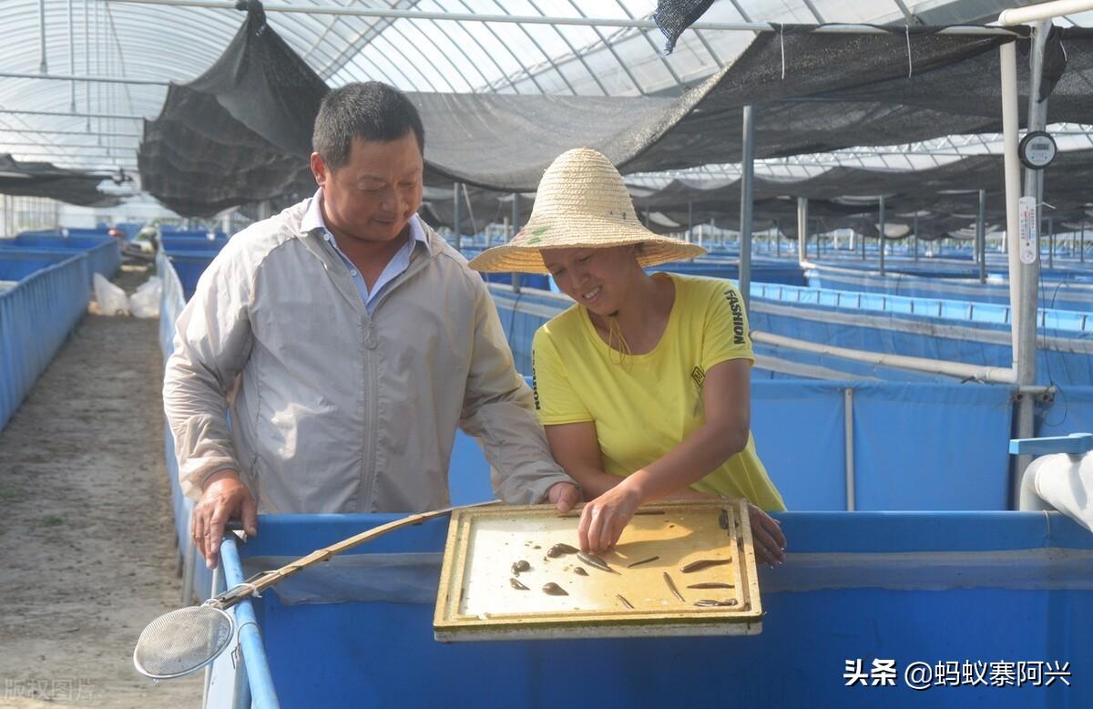 致富栏目是多少台多少时间播出_致富经栏目_致富栏目在哪个电视台