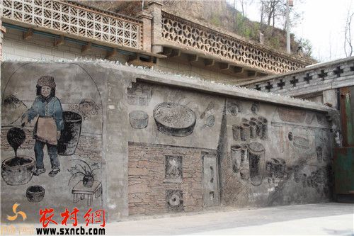 黒参种植_黑参种植技术_黑参种植致富经