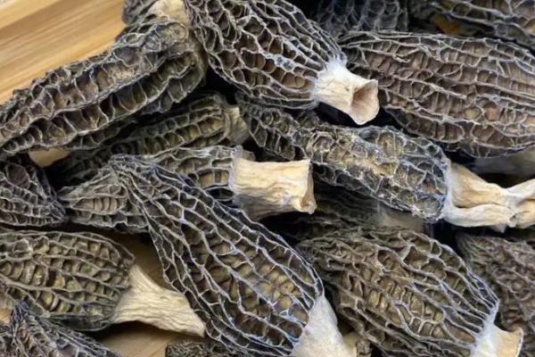 农村珍稀食用菌品种，这5种发展前景一片大好