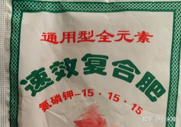 种植丝瓜致富_种植丝瓜赚钱吗_丝瓜种植效益
