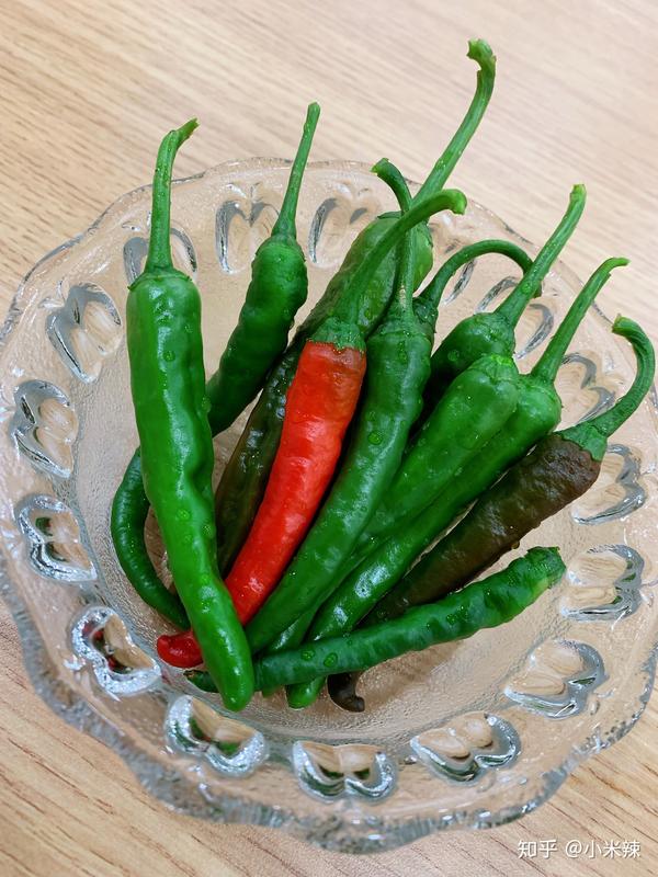 种植丝瓜赚钱吗_种植丝瓜致富_丝瓜种植效益