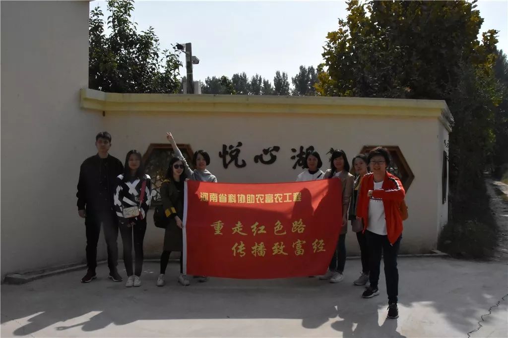 黑参种植成本及利润_黑参种植致富经_黑参种植技术