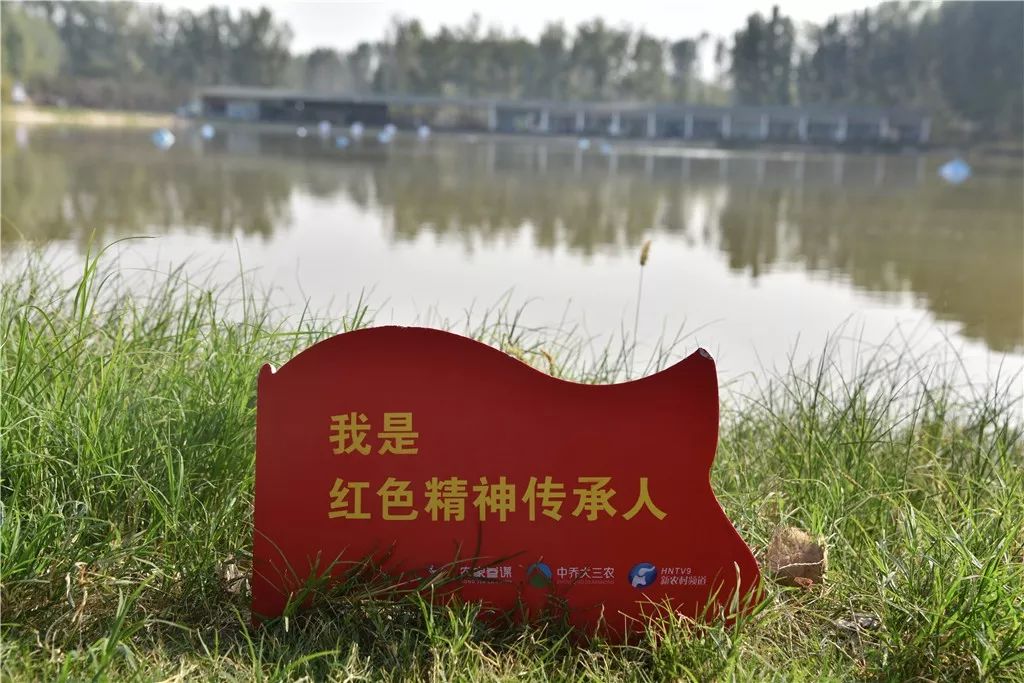 黑参种植致富经_黑参种植成本及利润_黑参种植技术