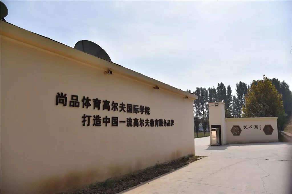 黑参种植成本及利润_黑参种植技术_黑参种植致富经